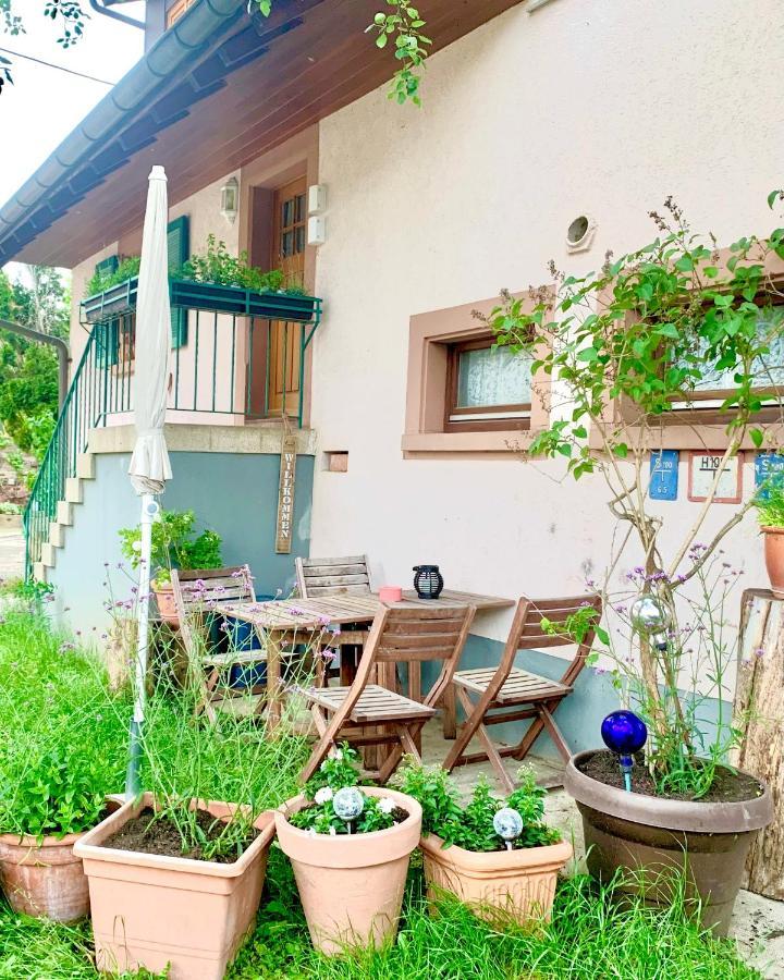 Ferienwohnung Diana Sexau Ngoại thất bức ảnh